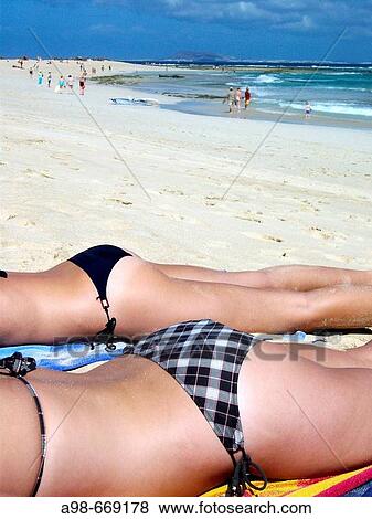 Disegni fotoGrafici per lepilazione in zona bikini Disegni fotoGrafici per lepilazione in zona bikini