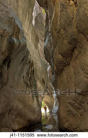 Slot canyons new zealand