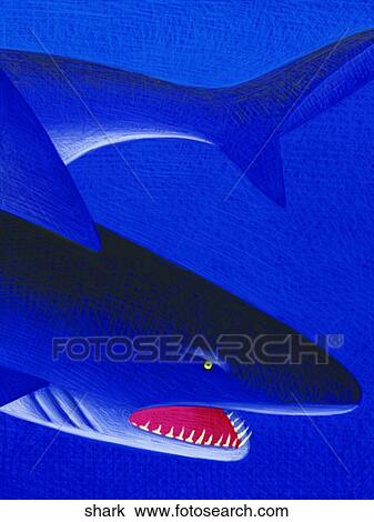 手绘图 - 鲨鱼 shark - 抽象图像及影像 - shark.J