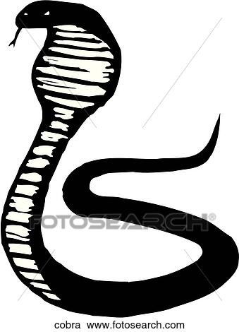 Clipart of Cobra cobra - Search Clip Art, Illustration Murals, Drawings ...