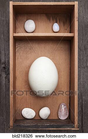 Rocks Crystal And Egg In Display Shelf Rocks Crystal And Egg In Display Shelf