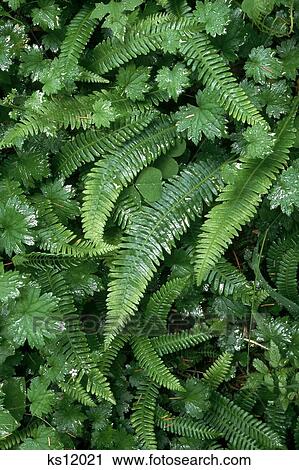 摄影图库 - 日历风景影片, 摘要, aprilshowers, 背