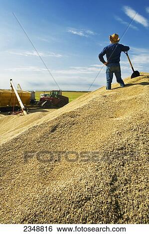 , , , stockpiled, , , , , augered, , a, ʳ