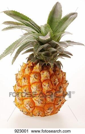 Pineapples 2 Clip Art