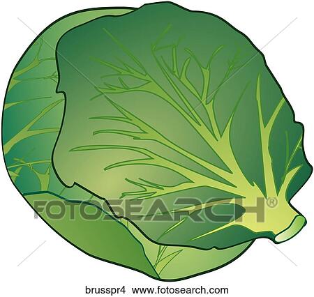 Drawings of Brussel Sprouts-One brusspr4 - Search Clip Art