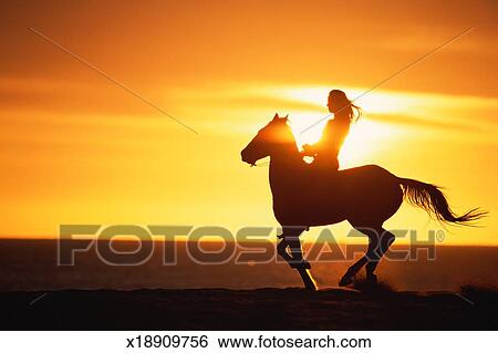 Horse Riding Silhouette Silhouette of Woman Riding