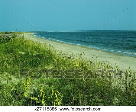 Stock Images of Beach, Cape Fear, North Carolina, USA ...