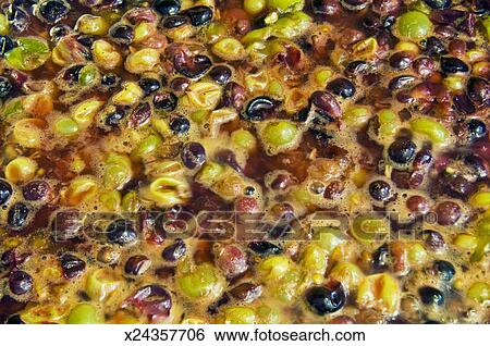 mash and grape mash and grape