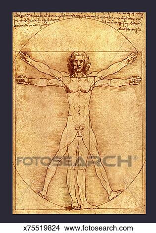 Leonardo Da Vinci Adult Life 74