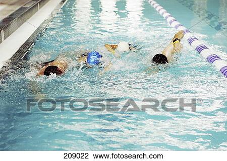 Stock Photo of Four people swimming in a lap pool 209022 - Search Stock