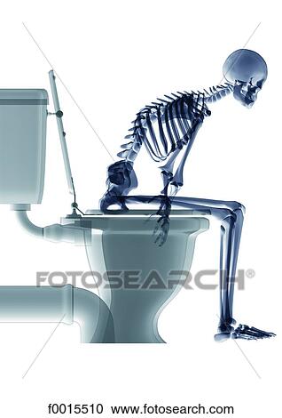 Stock Photography of Skeleton : in the bathroom f0015510 - Search Stock