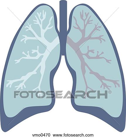 Stock Illustrations of Lungs vmo0470 - Search Clipart, Illustration