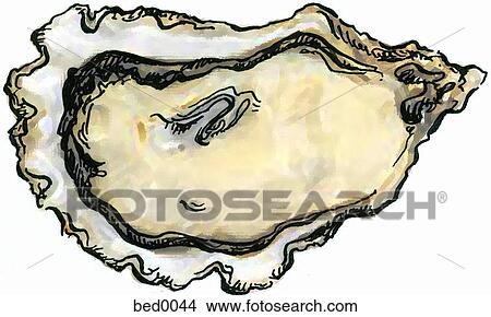 Drawings of Oyster bed0044 - Search Clip Art Illustrations, Wall