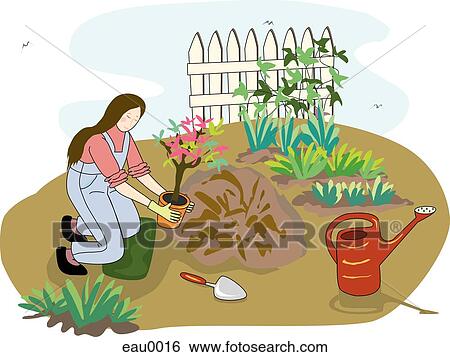 Banque d'Illustrations - dessin, de, a, femme, plantation arbres, dans