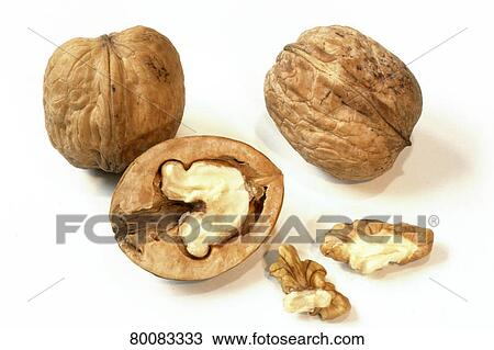 图吧 - DEU, 2002:, 普通, 胡桃, 英语, 胡桃, 波斯