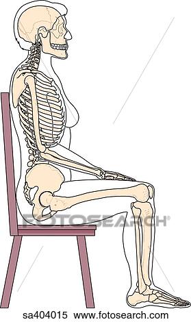 Stock Illustration of Lateral view of full skeleton with outline of
