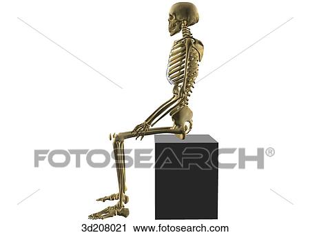 Clipart of Lateral view of a skeleton in the sitting position. 3d208021