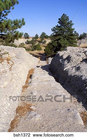 图吧 - conestoga货车, ruts, 在中, 石头, 向前, th