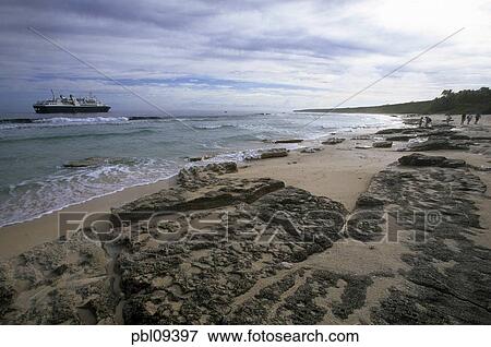 Henderson-Insel Henderson-Insel