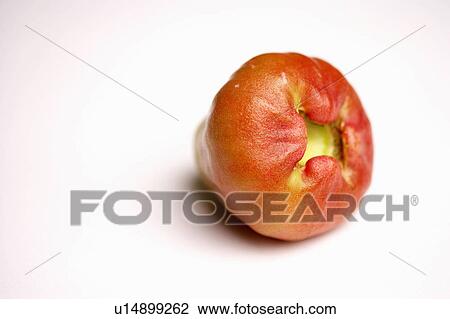 图吧 - Colse-up, 在中, dragonfruit u14899262 -