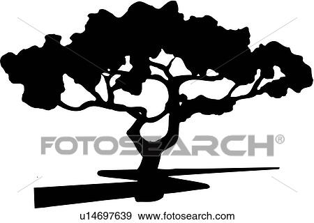 Clip Art of illustration, lineart, tree, trees u14697639 - Search