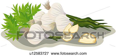 剪贴画 - 艾蒿, 食物, dangun, 神话, 童话, 大蒜, 国