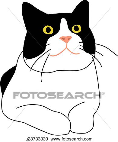 Clip Art of vertebrate, kitty, lying down, sitting, animal, mammal, cat