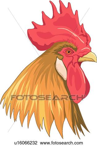 Clipart - coq, tête u16066232 - Recherchez des Clip Arts, des