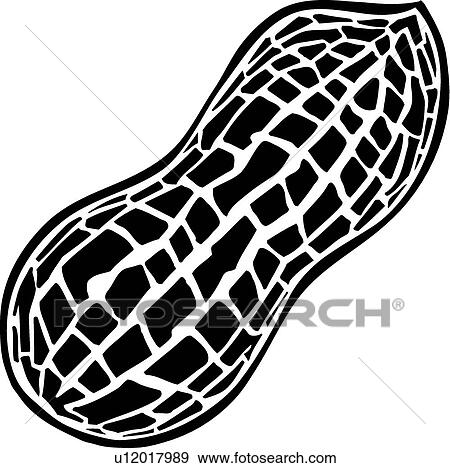 Clip Art Peanut Clip Art peanut clip art royalty free 1485 clipart vector eps valueclips art