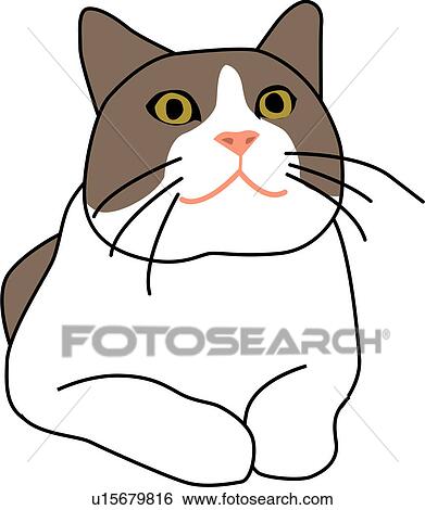 Clip Art of vertebrate, kitty, lying down, sitting, animal, mammal, cat