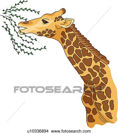 Clipart of wild animal, vertebrate, giraffe, land animal ...