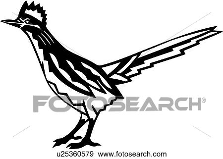 Clip Art Roadrunner Clipart roadrunner clipart and illustration 14 clip art vector bird southwest
