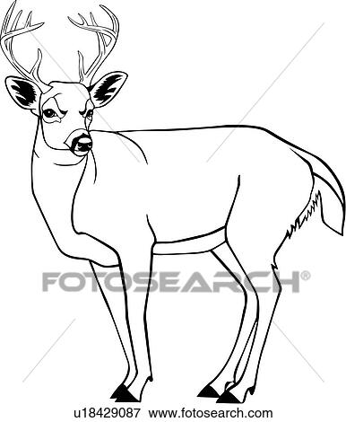  - , ¹, ¹, ѱ¹, stag, .