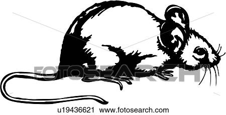剪贴画 - 动物, 老鼠, 老鼠, 啮齿动物, rat,.