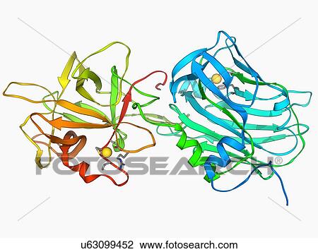 tetanus toxin