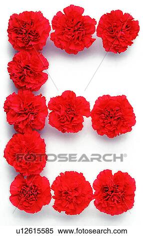 stock image of rose english letter characters u12615585 search rose letter