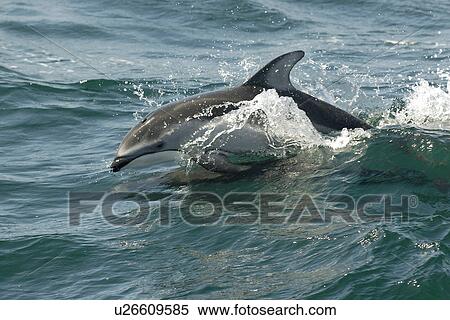 Speed dating in monterey ca