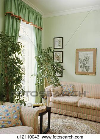 Stock foto houseplants, in, traditionelle, pastell, grün ...