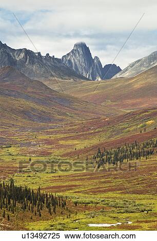 图片银行 - 墓碑, 山, 墓碑, 领土, 公园, 育空河领