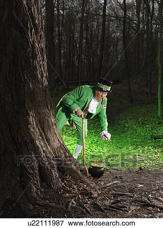 图片 - 矮妖精, 带, a, 黄金的壶, 在中, a, 森林 u2