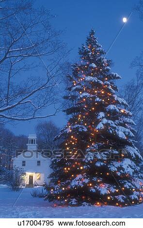 stock image of christmas tree moon outdoor decoration stock image of christmas tree moon outdoor decoration
