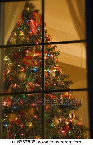 Stock Image of Looking at indoor Christmas tree through window