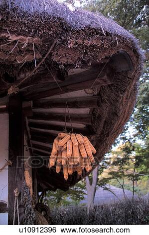 创意设计图片在线 - 亚洲, 建筑学, 种子, 世界, 古