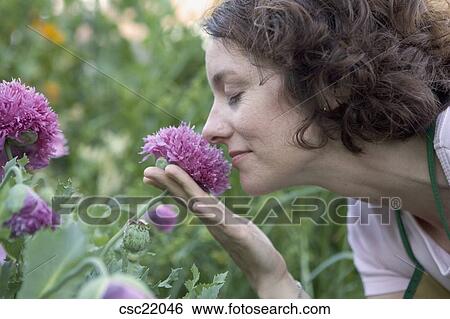 Chrysanthemums criticism essay