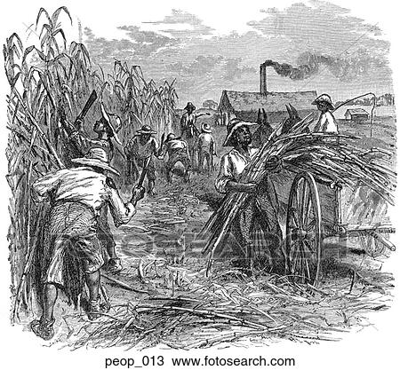 Drawing of A sugar plantation peop_013 - Search Clipart, Illustration