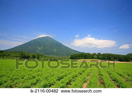 Stock Image - Agricultural field with mountains against blue sky. Fotosearch