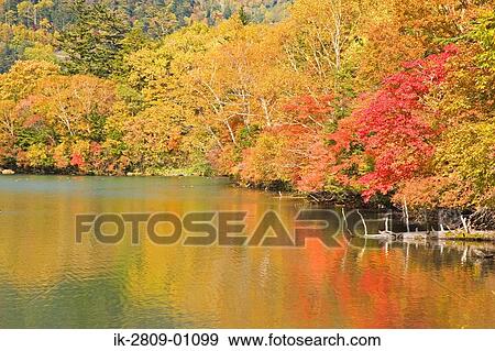 Stock Photo - Autumnal Trees Along Lake, Tochigi Prefecture, Japan. Fotosearch