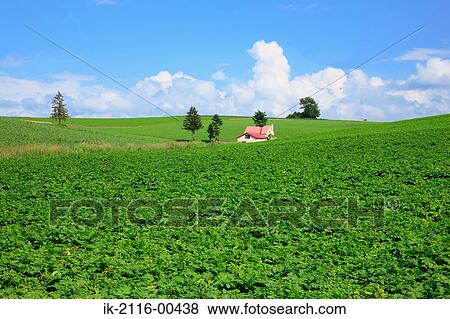 Barns in grassland View Large Photo Image Stock Photo - Barns in grassland . Fotosearch
