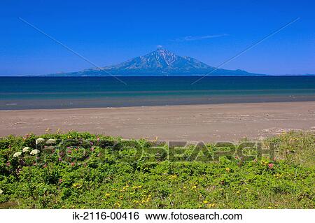Stock Photograph - Beautiful view of mountains and flowers on seaside. Fotosearch