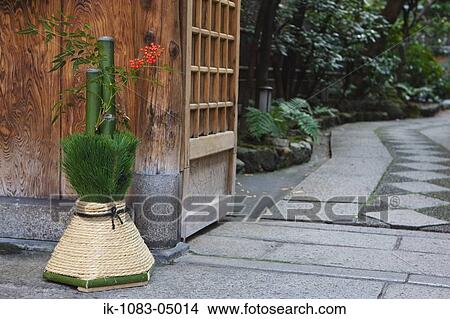 Berry plant on gate and pathway View Large Photo Image Picture - Berry plant on gate and pathway. Fotosearch